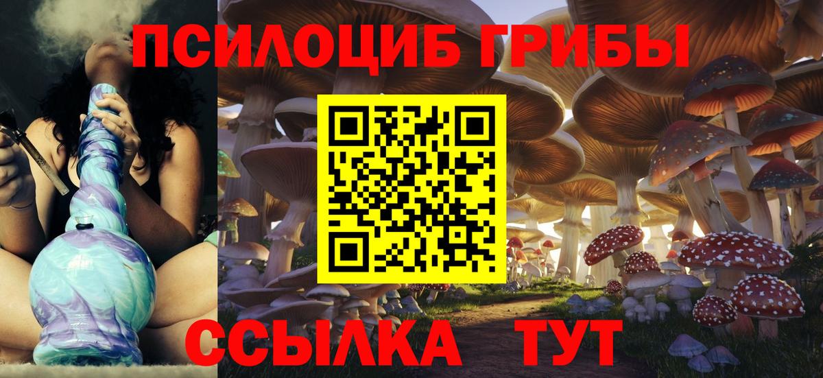 Пыть-Ях  Галлюциногенные грибы Cubensis  Вход с VPN 